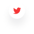 twitter icon